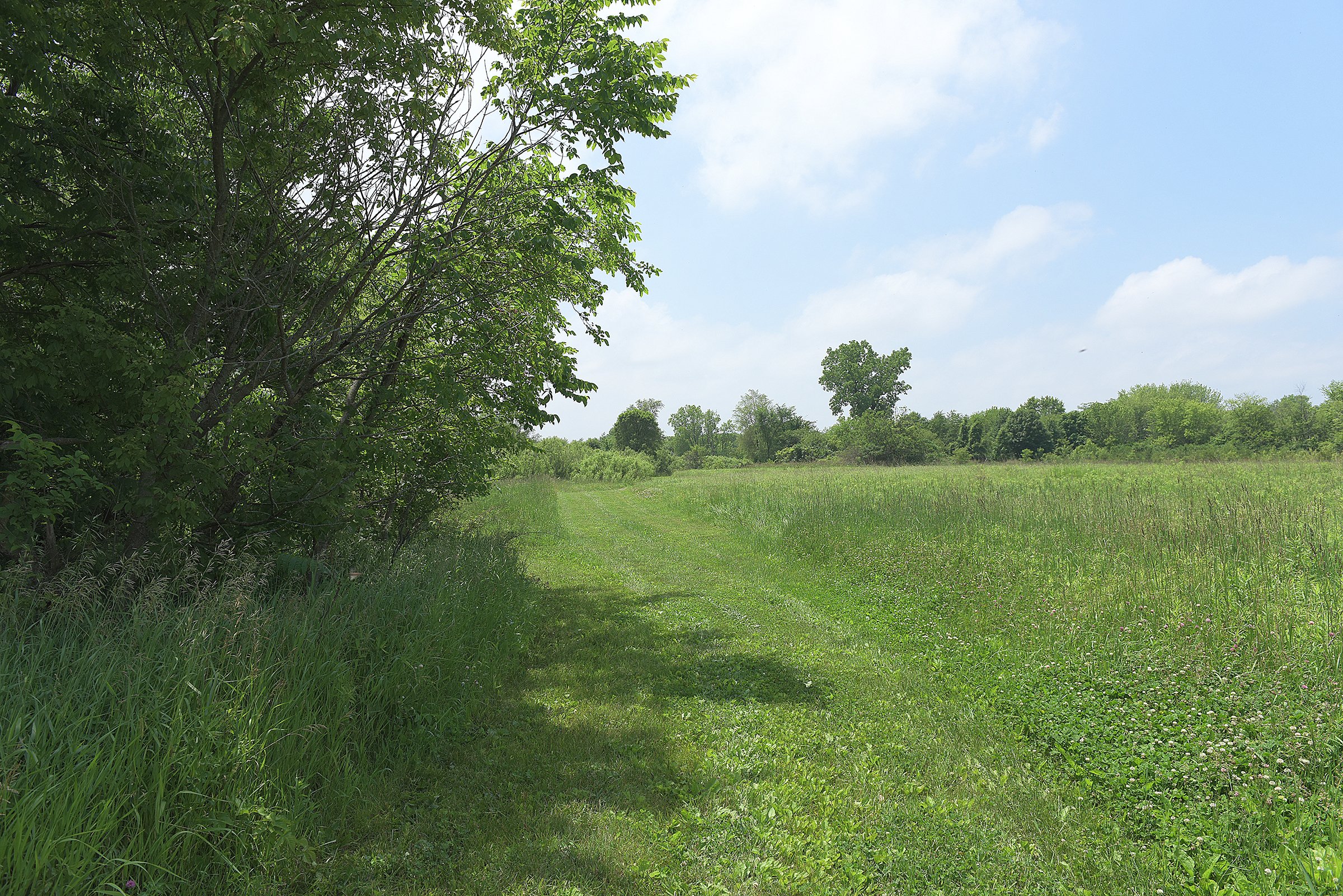Lake County, Indiana farmland - LAND AUCTION - 147+/- ACRES OFFERED IN 3 TRACTS IN LAKE COUNTY, INDIANA